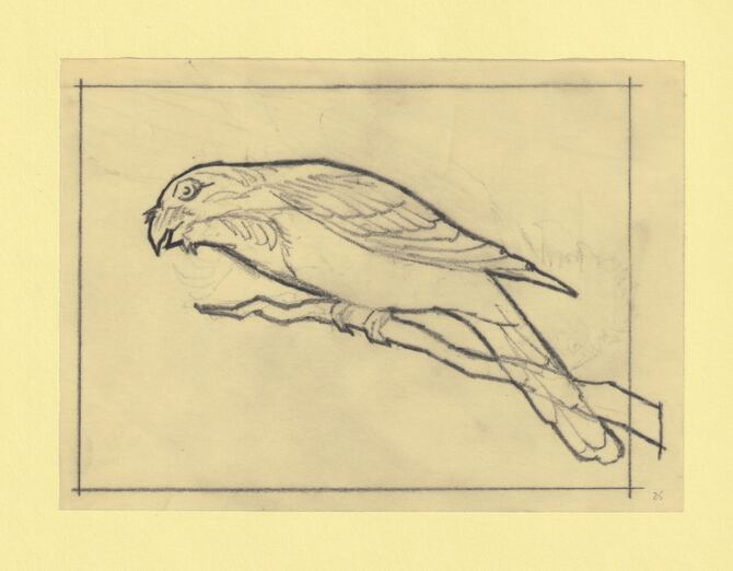 Somalia 1966 Birds Original artwork rough essay on tracing paper probably for the 1966 series image size 140 x 105 mm (96045)