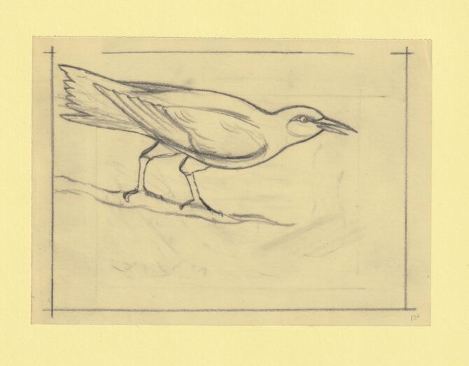 Somalia 1966 Birds Original artwork rough essay on tracing paper probably for the 1966 series image size 140 x 105 mm (96046)