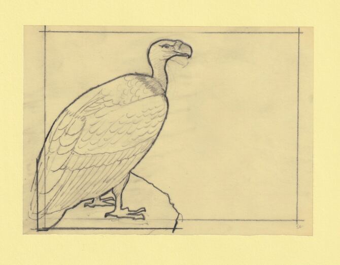 Somalia 1966 Birds Original artwork rough essay on tracing paper probably for the 1966 series image size 140 x 105 mm (96047)
