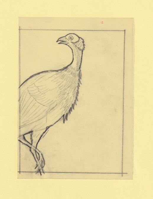 Somalia 1966 Birds Original artwork rough essay on tracing paper probably for the 1966 series image size 105 x 140 mm (96048)
