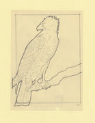 Somalia 1966 Birds Original artwork rough essay on tracing paper probably for the 1966 series image size 105 x 140 mm  (96049)