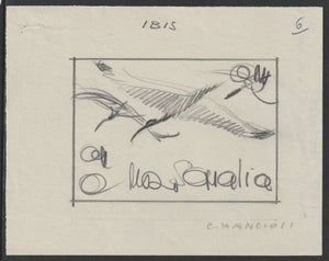 Somalia 1959 Water Birds - Ibis Original artwork on white paper by Corrado Mancioli image size 92 x 65 mm