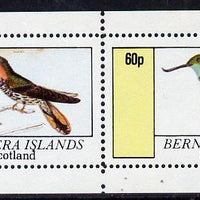 Bernera 1981 Humming Birds perf,set of 2 values (40p & 60p) unmounted mint