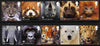 Great Britain 2011 WWF - World Wildlife Fund perf set of 10 (2 se-tenant strips of 5) unmounted mint