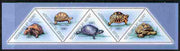Guinea - Conakry 2011 Turtles perf sheetlet containing set of 5 triangular shaped values unmounted mint
