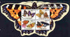 Guinea - Bissau 2011 Butterflies special shaped perf sheetlet containing 4 values unmounted mint