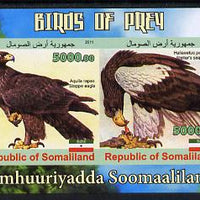 Somaliland 2011 Birds of Prey #2 imperf sheetlet containing 4 values unmounted mint