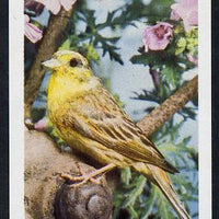 Staffa 1981 Birds #06 imperf souvenir sheet (£1 value) unmounted mint