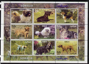 Somalia 2000 Dogs perf sheetlet containing 9 values unmounted mint. Note this item is privately produced and is offered purely on its thematic appeal