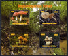 Chad 2012 Fungi perf sheetlet containing 4 values unmounted mint. Note this item is privately produced and is offered purely on its thematic appeal.
