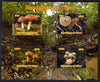 Chad 2012 Fungi imperf sheetlet containing 4 values unmounted mint. Note this item is privately produced and is offered purely on its thematic appeal.