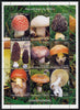Benin 2002 Fungi perf sheetlet containing set of 9 values unmounted mint. Note this item is privately produced and is offered purely on its thematic appeal