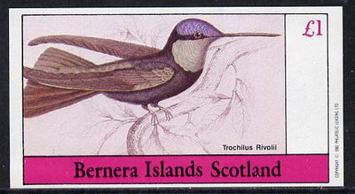 Bernera 1982 Humming Birds (Trochilus R) imperf souvenir sheet (£1 value) unmounted mint