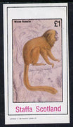 Staffa 1982 Primates (Midas Rosalia) imperf souvenir sheet (£1 value) unmounted mint